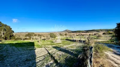 Rustic Finca in Sineu photo 34