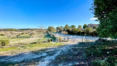 Rustic Finca in Sineu photo 36