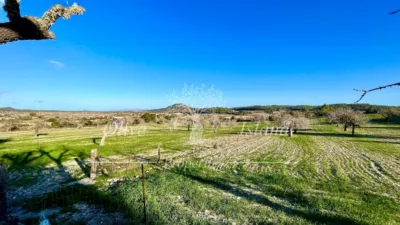 Rustic Finca in Sineu photo 37