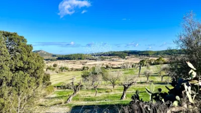Rustic Finca in Sineu photo 3