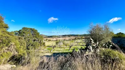 Rustic Finca in Sineu photo 4