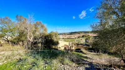 Rustic Finca in Sineu photo 5
