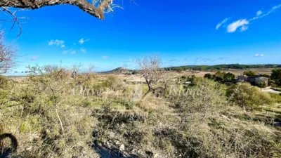 Rustic Finca in Sineu photo 6