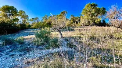 Rustic Finca in Sineu photo 7