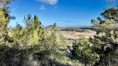 Rustic Finca in Sineu photo 8