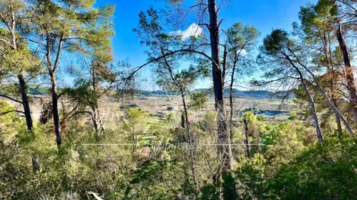 Rustic Finca in Sineu photo 9