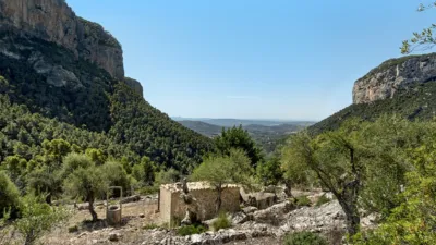 Rustic house in Alaró photo 14