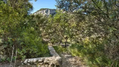 Rustic house in Alaró photo 15