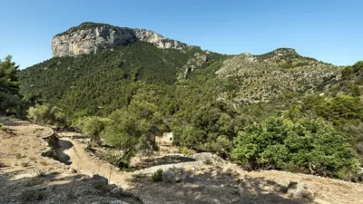 Rustic house in Alaró photo 16