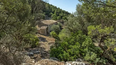 Rustic house in Alaró photo 17