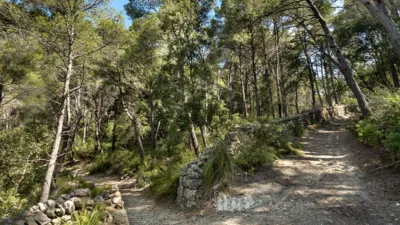 Rustic house in Alaró photo 18