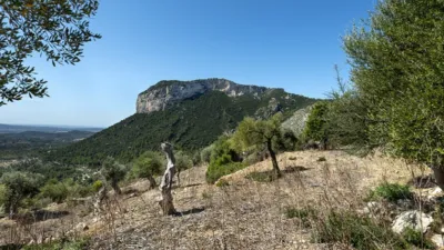 Rustic house in Alaró photo 19