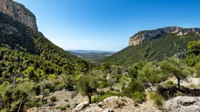 Rustic house in Alaró photo 20
