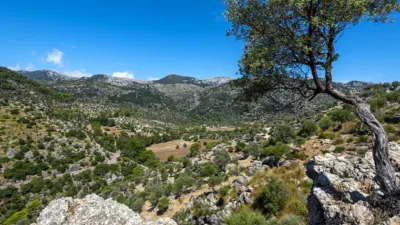 Rustic house in Alaró photo 21
