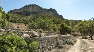 Rustic house in Alaró photo 24