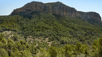 Rustic house in Alaró photo 25