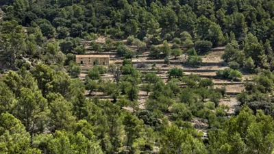 Rustic house in Alaró photo 2