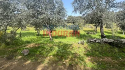 Rustic farm in Valdelacasa de Tajo photo 4