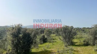 Rustic farm in Valdelacasa de Tajo photo 5