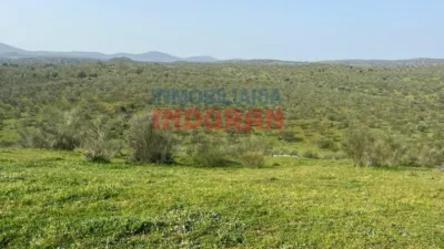 Rustic farm in Valdelacasa de Tajo photo 7