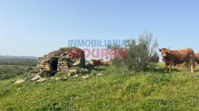 Rustic farm in Valdelacasa de Tajo photo 8