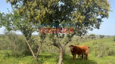 Rustic farm in Valdelacasa de Tajo photo 9