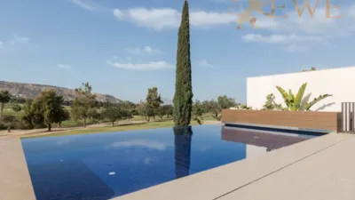 Villa in Algorfa photo 27
