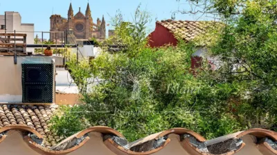 Apartment in Santa Catalina photo 23