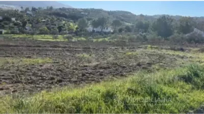 Rustic Farm in Villafranco del Guadalhorce photo 10