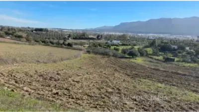 Rustic Farm in Villafranco del Guadalhorce photo 12