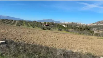 Rustic Farm in Villafranco del Guadalhorce photo 13