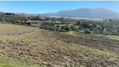Rustic Farm in Villafranco del Guadalhorce photo 2