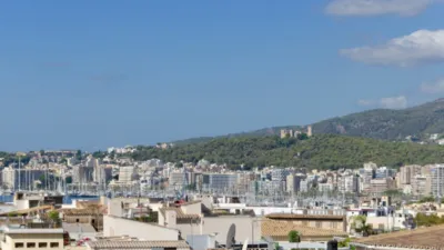 Apartment in El Mercat photo 20
