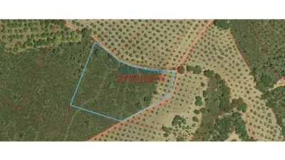 Finca rústica en venta en Castañar de Ibor - Vista 4
