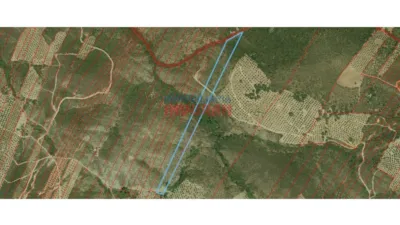 Finca rústica en venta en Castañar de Ibor - Vista 5