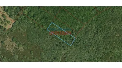 Finca rústica en venta en Castañar de Ibor - Vista 6