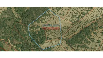 Finca rústica en venta en Castañar de Ibor - Más