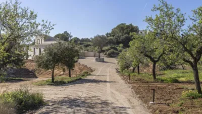 Rustic house in Cala Alga photo 16