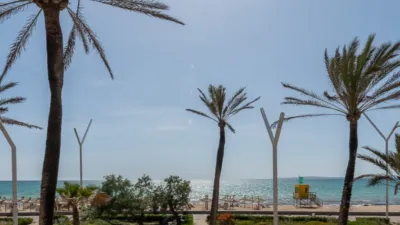 Apartment in Les Maravelles photo 15