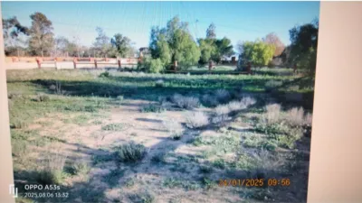 Rustic Finca in Rojales photo 27