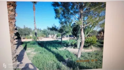 Rustic Finca in Rojales photo 28