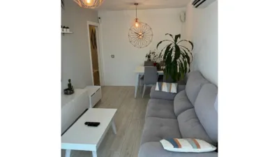 Apartment in San Blas photo 4