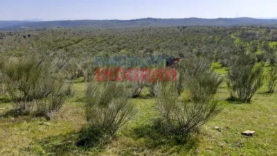 Finca rústica en Valdelacasa de Tajo photo 4