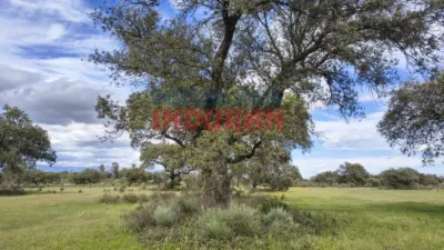 Rustic farm in Navalmoral de la Mata photo 3