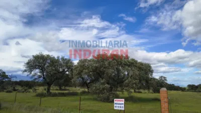 Rustic farm in Navalmoral de la Mata photo 4