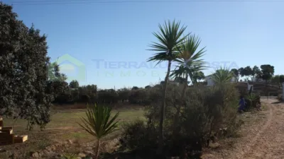 Rustic Finca in Villablanca photo 32