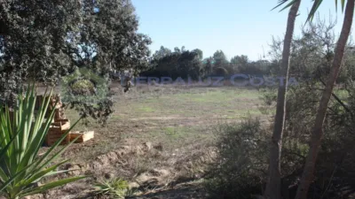 Rustic Finca in Villablanca photo 35