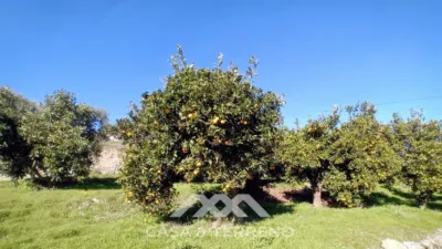 Rustic finca in Alozaina photo 26