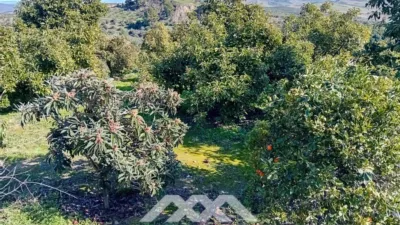 Rustic finca in Alozaina photo 27