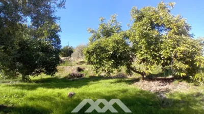 Rustic finca in Alozaina photo 28